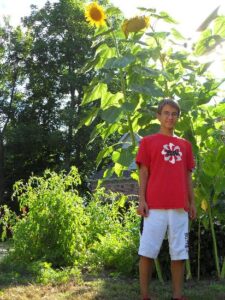 Urban Oases Image